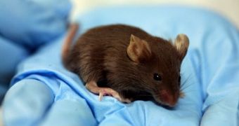 MIT scientists claim to have used light to paralyze lab mice