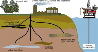 A diagram showing the carbon sequestration concept