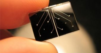 This microfluidic device can assess the density of a single cell