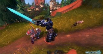 Happy players are crucial for Wildstar