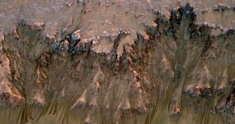 An image combining orbital imagery with 3-D modeling shows flows that appear in spring and summer on a slope inside Mars' Newton crater