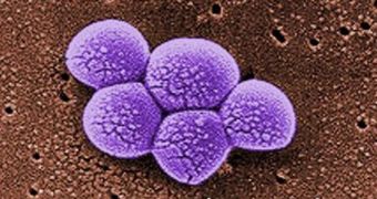 MRSA Infections Are Spreading at Greater Speeds