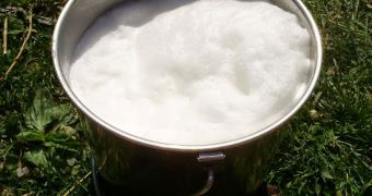 Potentially deadly superbug was found in British bulk milk