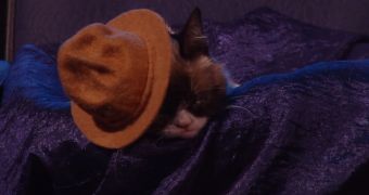 Grumpy Cat dozes off through Conan O’Brien’s opening monolog at the MTV Movie Awards 2014
