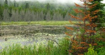 Thousands of lakes will be cross-compared in a macrosystems biology award from NSF