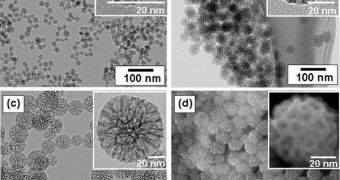 A collection of various types of nanoparticles