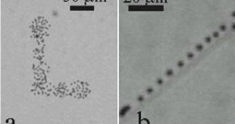 a: ?L? printed by chemical coating method. b: line printed by magnetic pattern method.