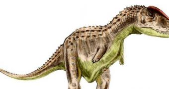 Magnificent Predator Dinosaur Had Little Use of Its Arms