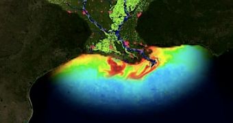 Major Dead Zone Is Forming in the Gulf of Mexico