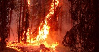 Firefighters in Colorado and New Mexico struggle to keep wildfires contained
