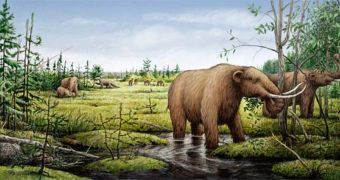 Mammoths and mastodons played a big role in keeping forest growth in check
