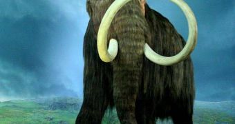 Woolly mammoths endured in the UK islands until 14,000 years ago, six millennia longer than first anticipated