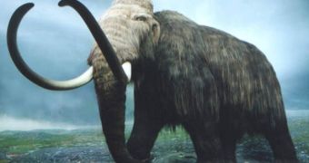 Changing climate conditions in the Atlantic and Pacific Oceans aided the mammoth travel South on all continents