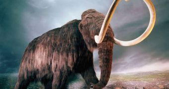 Study sheds new light on the bevahior and dietary preferences of mammoths and mastodons