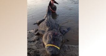 Dustin Bockman caught a 727-pound (330-kg) alligator
