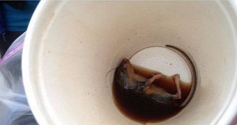 Man finds dead mouse in his coffee