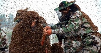 55-year-old in China covers himself in 1.1 million bees, sets new world record