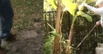 Man Doing Garden Work Finds Live Grenade in His Yard