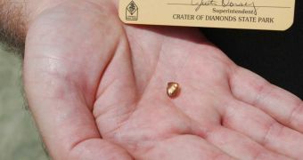 Terry Staggs found a 2.95-carat diamond