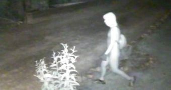 Man in alienesque silver costume robs Michigan houses
