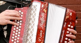 Man arrested after trying to use an accordion to smuggle meth across the US border
