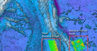 Mariana Trench Sectors Connected by Underwater Bridges