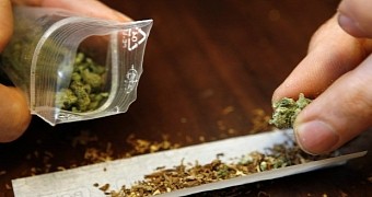 Specialists warn marijuana can trigger allergic reactions
