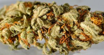 A marijuana compound called CBD may be used to treat schizophrenia