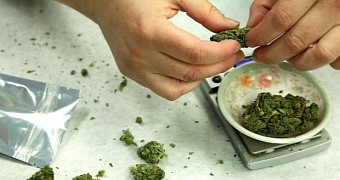 Study finds marijuana is, in a way, safer than all other recreational drugs