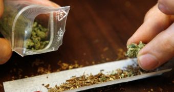 Study finds that folks who regularly smoke marijuana are less likely to engage in domestic violence