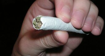 Marijuana's 'Getaway Effect' Lower Than Thought