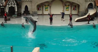 Marineland faces accusations for abusing its animals