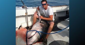 Groom catches giant tiger shark with help from friends