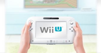 The Wii U can support many franchises, according to Miyamoto