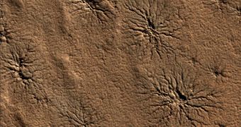 Spider-shaped features in the south polar region of Mars