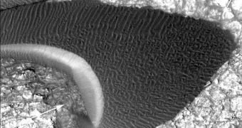 Martian Dunes Move Just Like Earth's Do