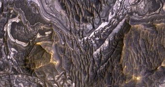 Martian Landforms Get Special Journal Issue