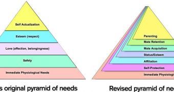 Maslow's pyramid of needs was first developed in the 1940s; a revised version of the pyramid puts parenting at the top