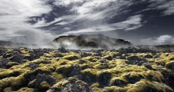 This modern-day landscape from Iceland may look similar to the barren lands of Pangaea after the extinction