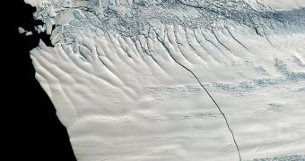 Huge crack seen scarring the surface of the Pine Island Glacier, in Antarctica