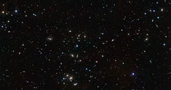 Massive Galactic Mash-Up Seen in the Hercules Cluster