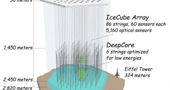 Massive IceCube Neutrino Observatory Completed