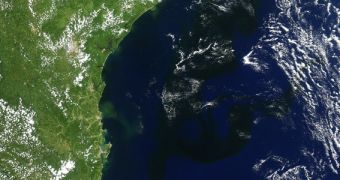 Massive phytoplankton bloom discovered in the southern Atlantic Ocean