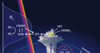 Huge storm clouds can severely affect the ozone layer in the lower stratosphere