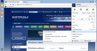 Maxthon works on all Windows versions on the market