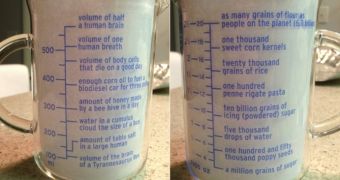 Measuring cup makes it hard to measure anything