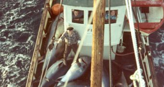 A Norvegian ship transporting bluefin tuna