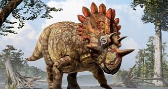 Artist's depiction of the newly discovered Regaliceratops peterhewsi