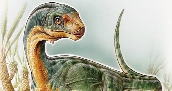 This dinosaur was a vegetarian