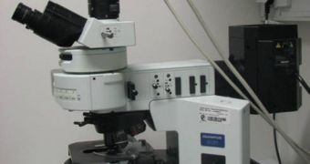 An Olympus BX61 fluorescence microscope coupled with a digital camera